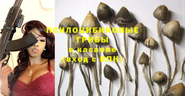 марки nbome Алексеевка
